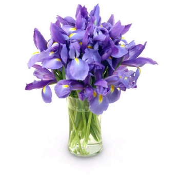 Arreglo Floral con Iris Azul !