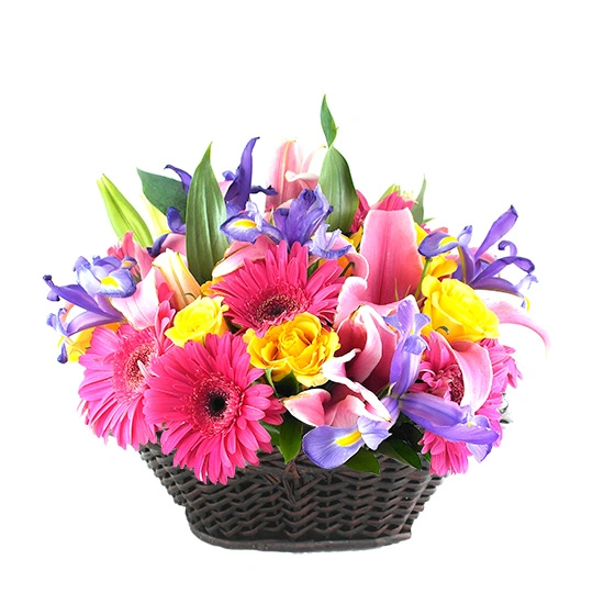 Canasta Bellos Colores de Flores Mixtas !