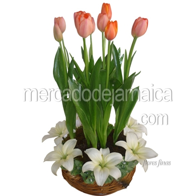 Arreglo con Tulipanes y Lilies Blancas en Canasta !