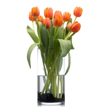 Finos Tulipanes Color Naranja !