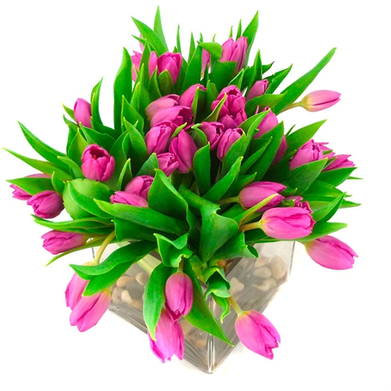Arreglo Floral con Tulipanes Morados !