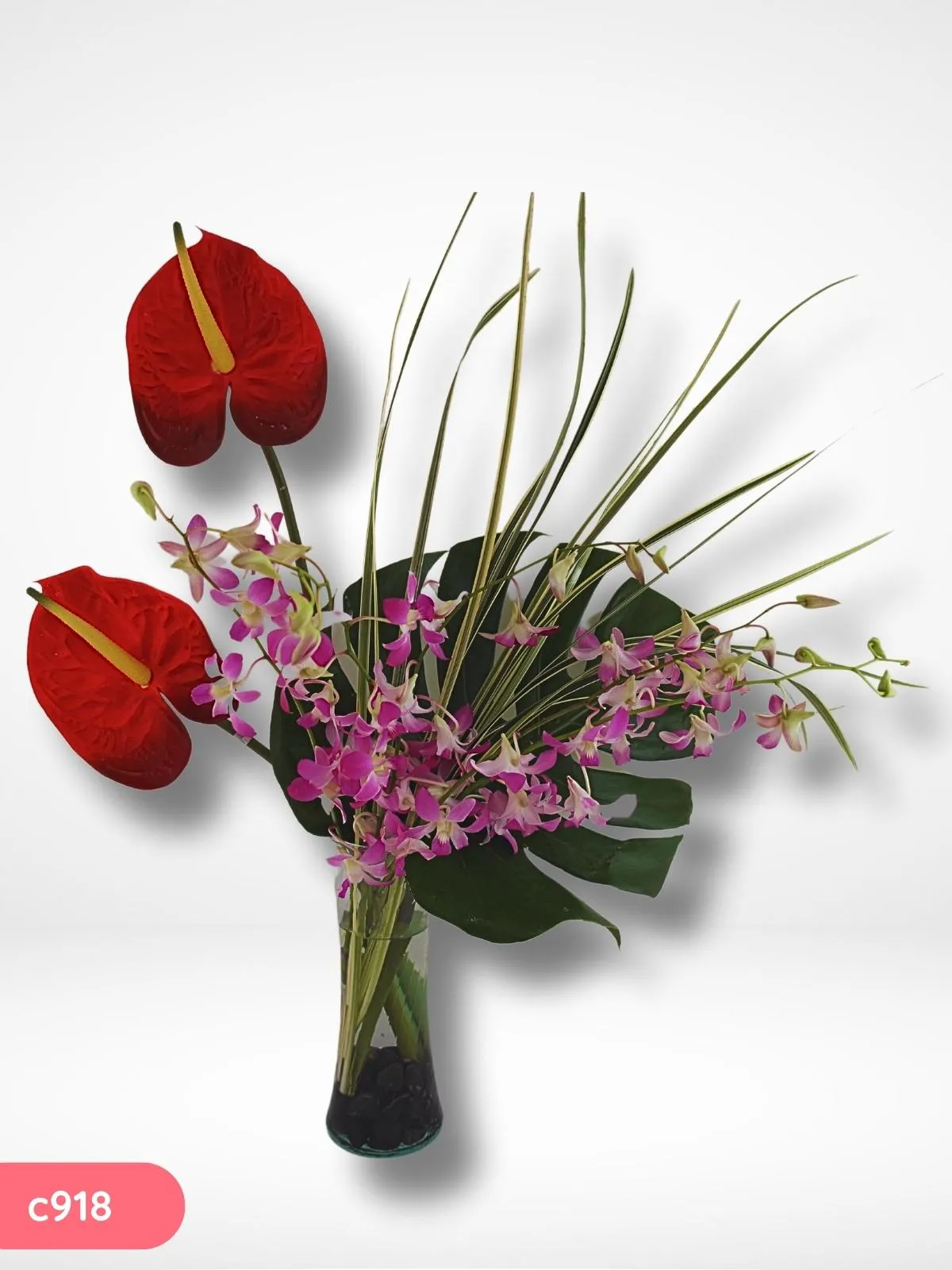 Enviar Flores a Mexico Orquidea Bombay Lilac !