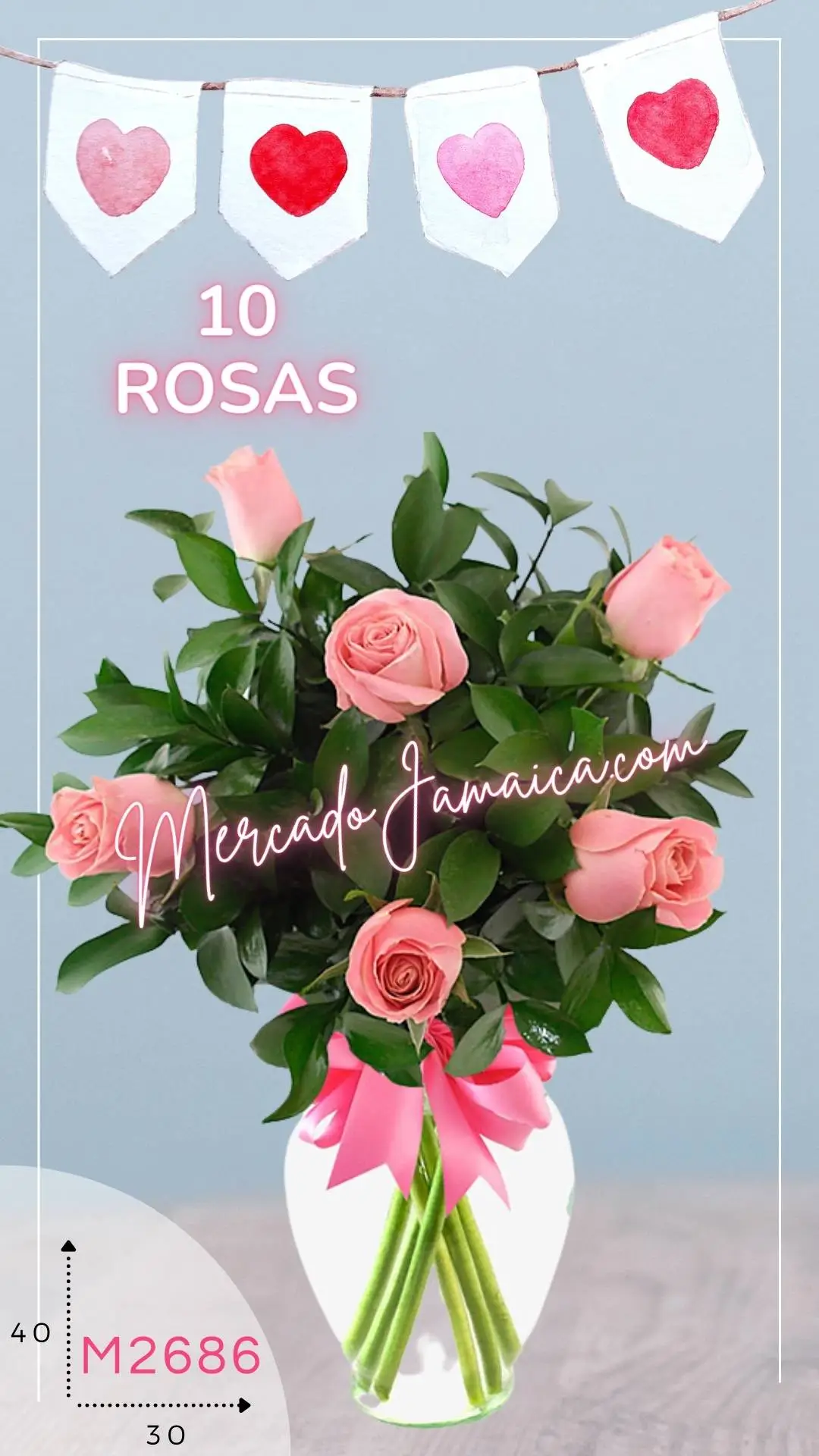 10 Rosas Rosa