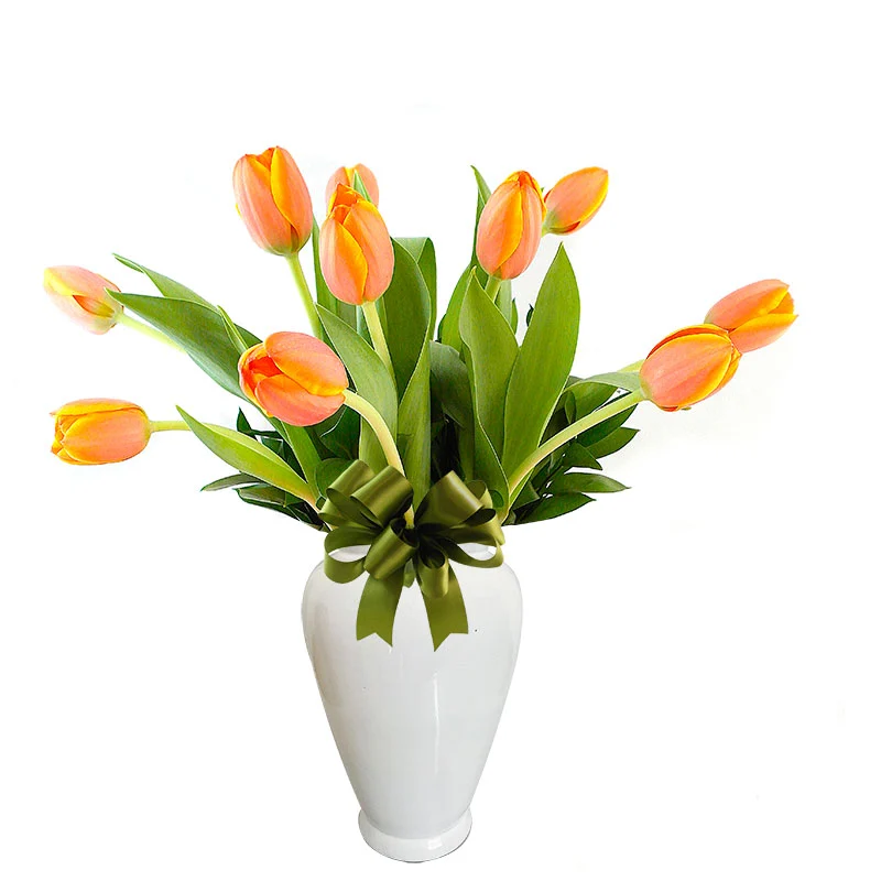 Tulipanes Encanto Orange