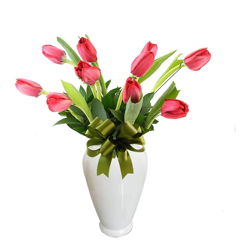 Tulipanes Rojos ¡Te Amo!