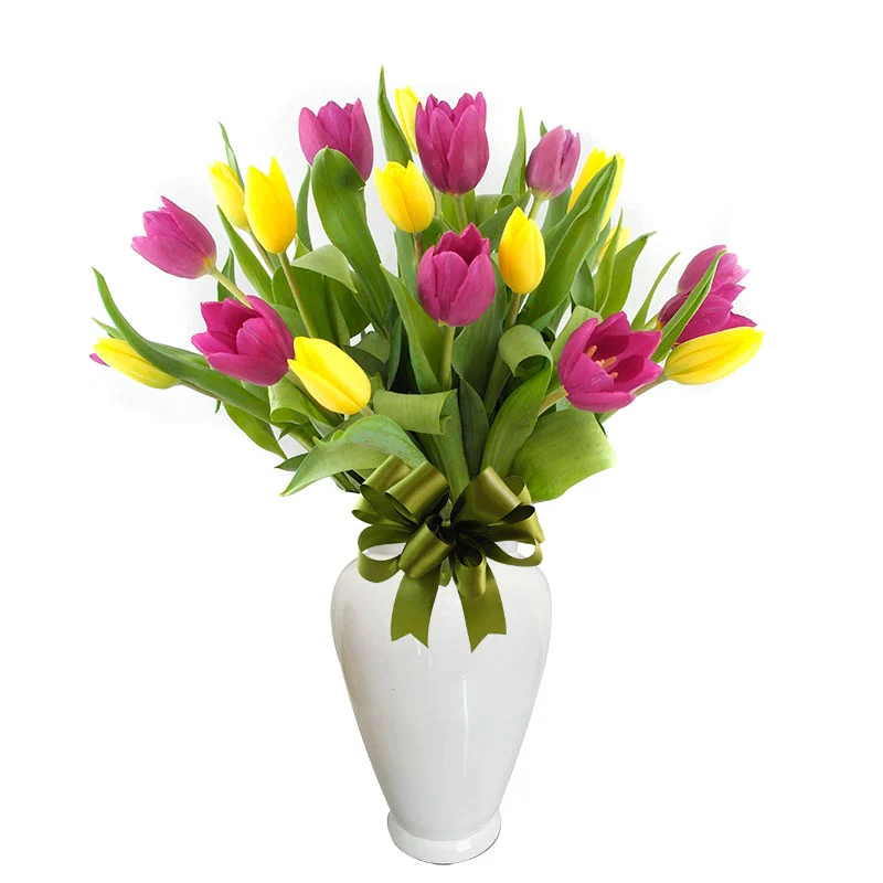 Arreglo con Tulipanes Morados | Amarillos