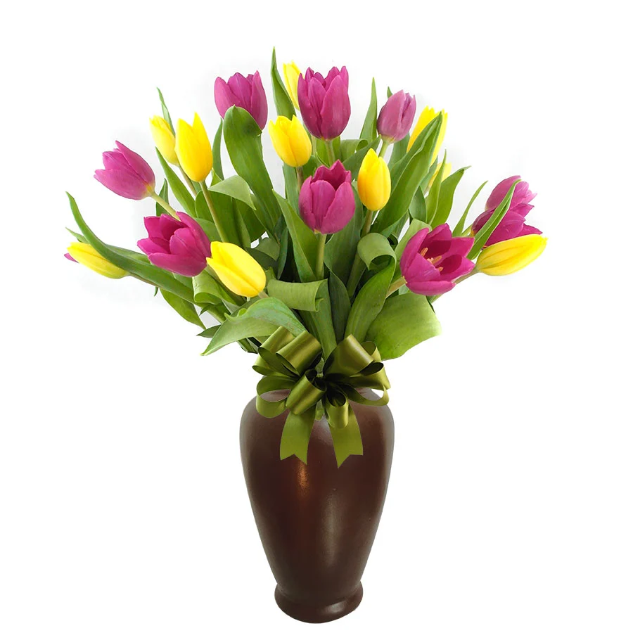 20 Tulipanes Morados Royale