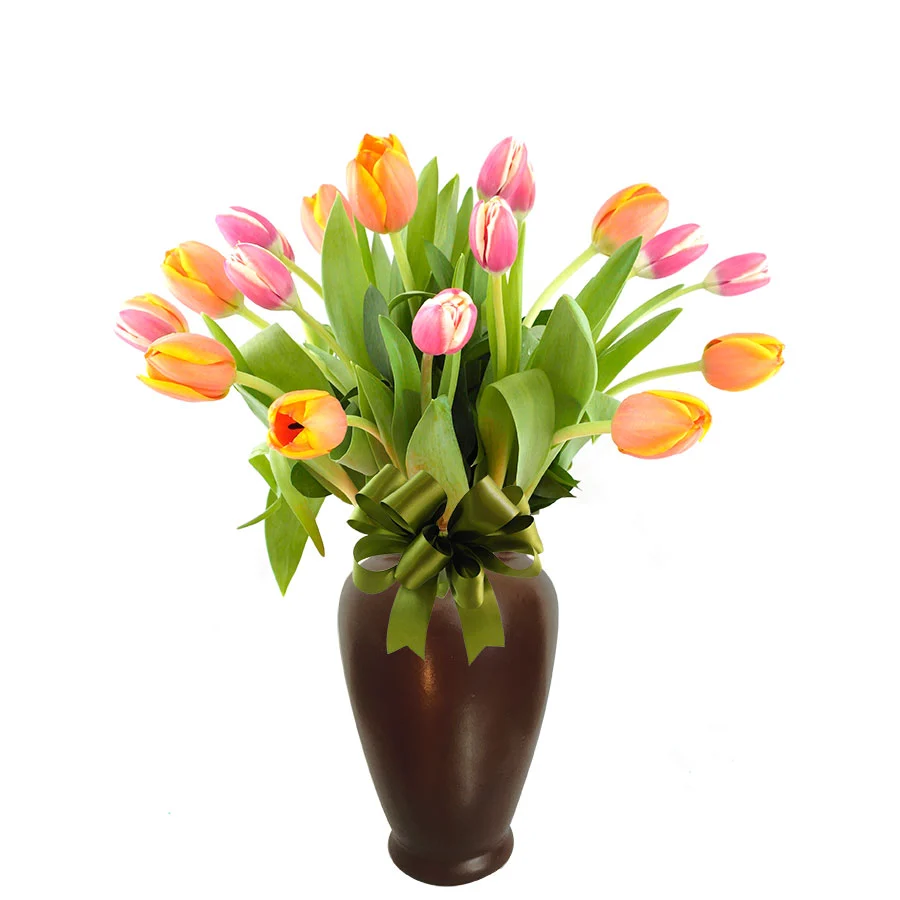 20 Tulipanes Amor