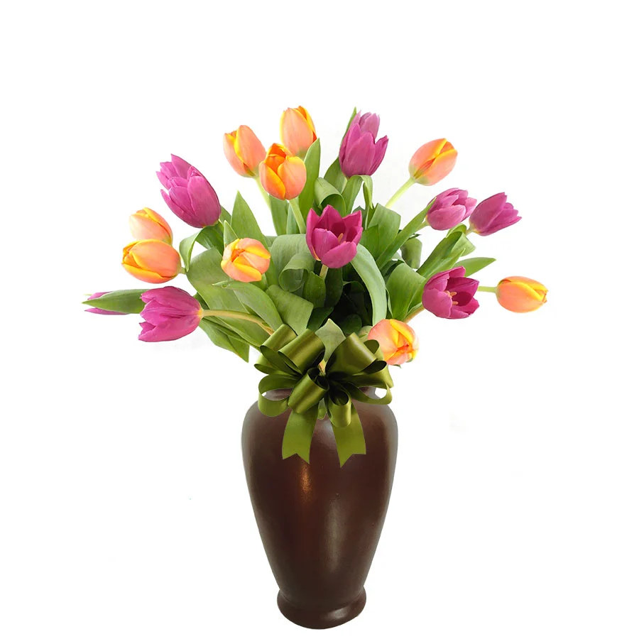 20 Tulipanes Morados Perielle