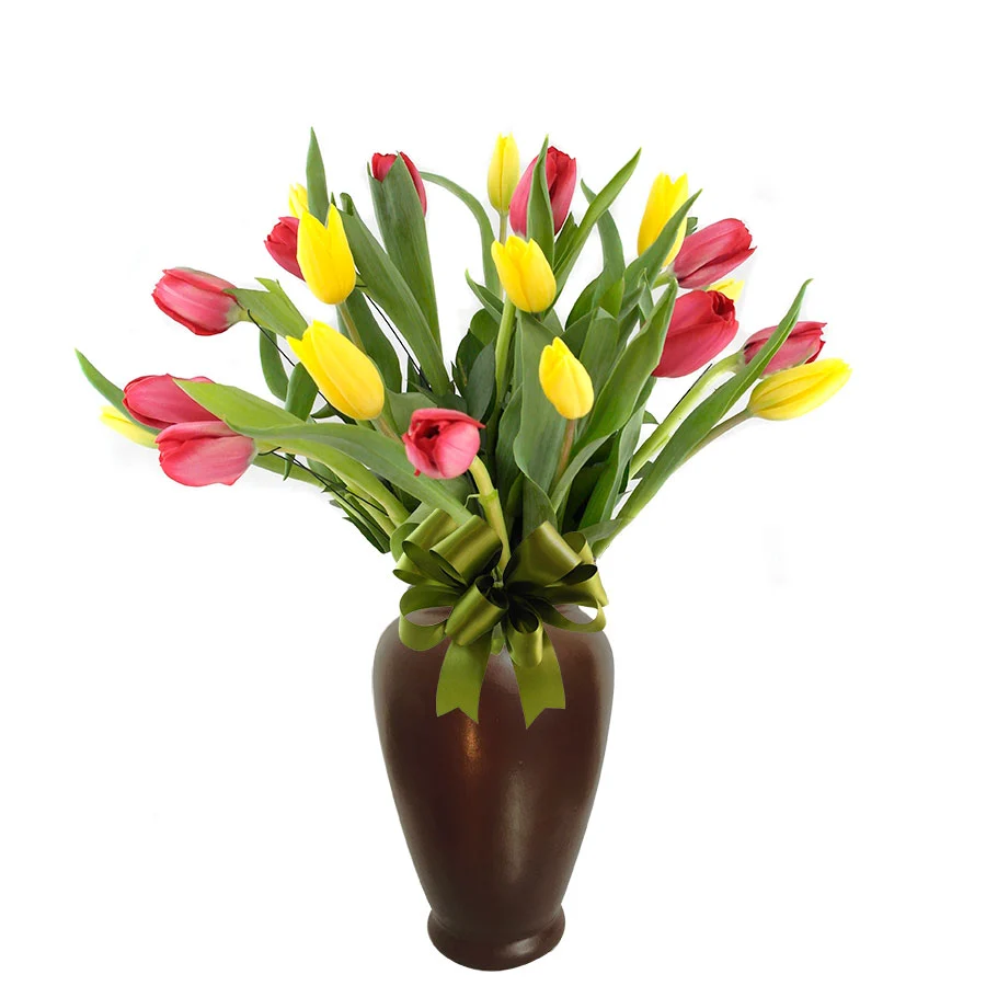 20 Tulipanes Gran Solomon