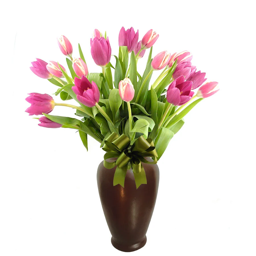 20 Tulipanes Amores