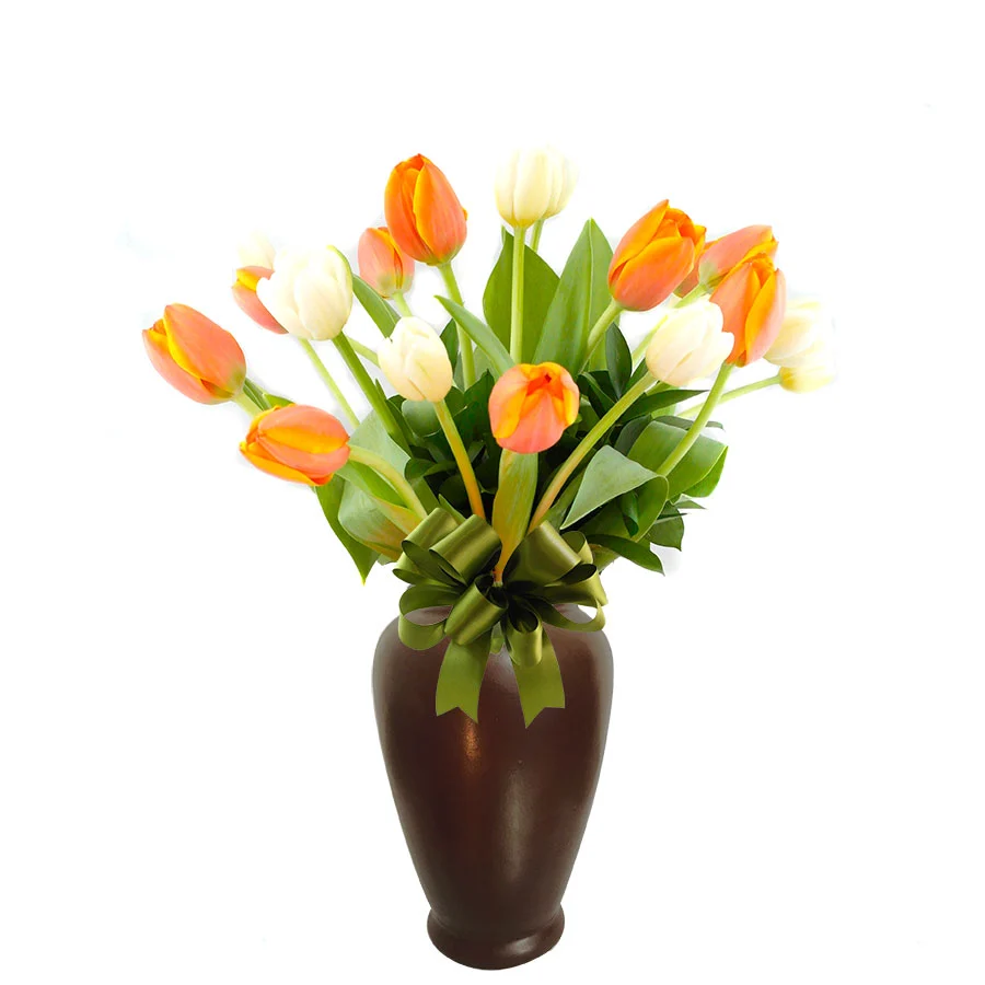 20 Tulipanes Amistad