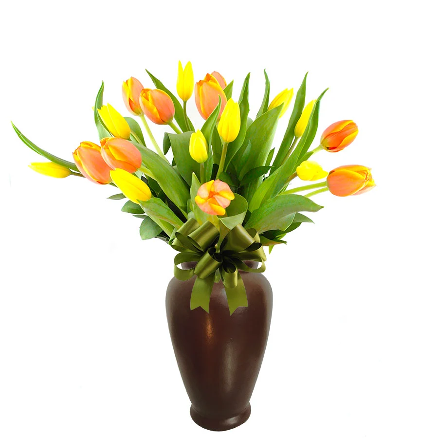 20 Tulipanes Vibrantes