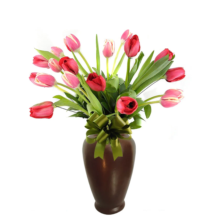 20 Tulipanes Classic