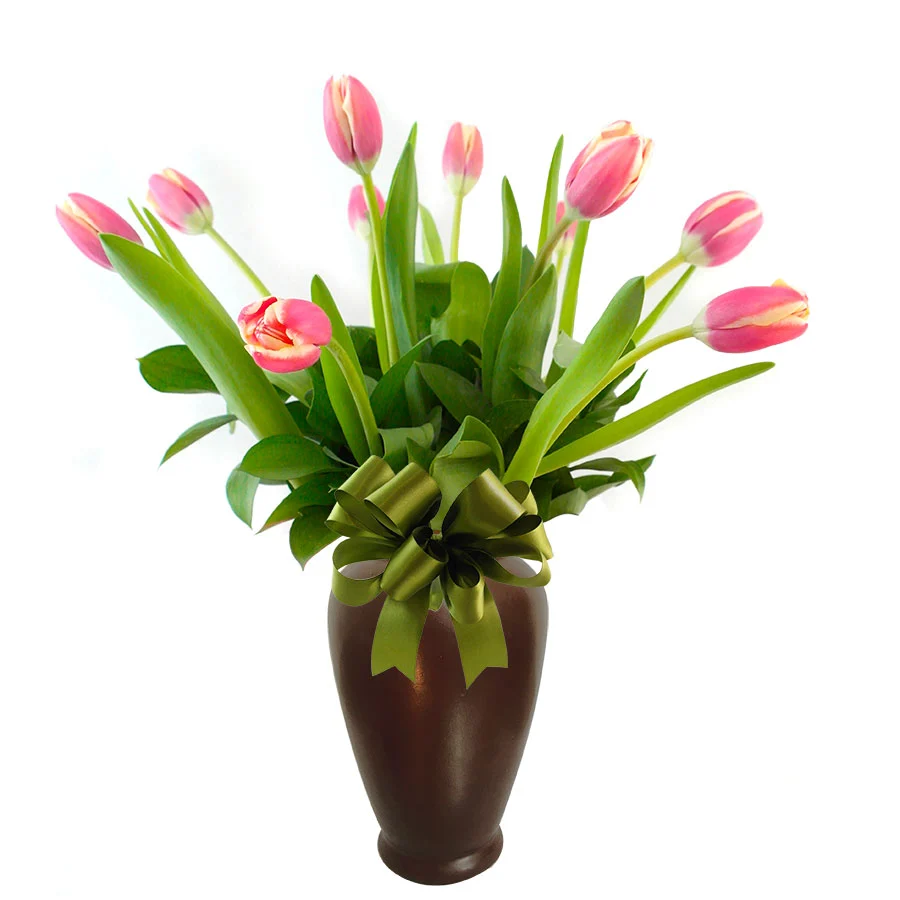 10 Tulipanes en Rosa
