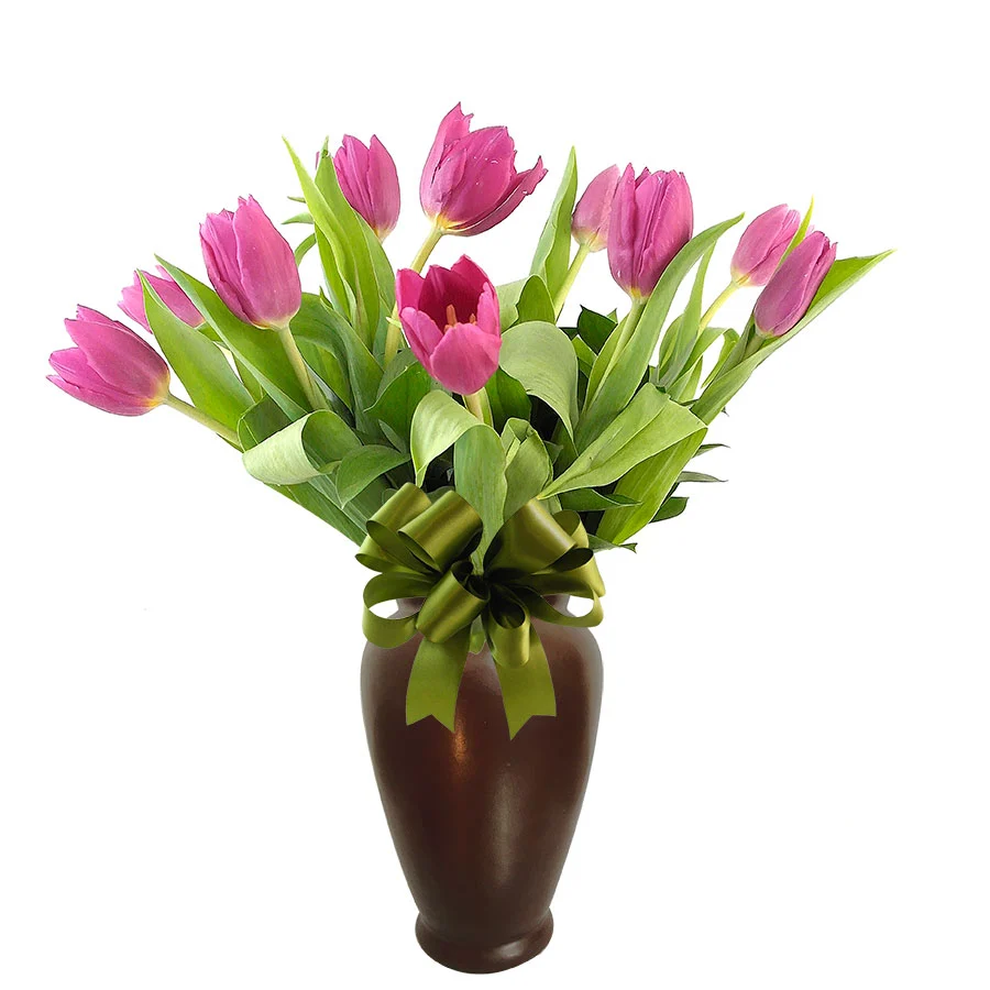 10 Tulipanes Encanto Morado