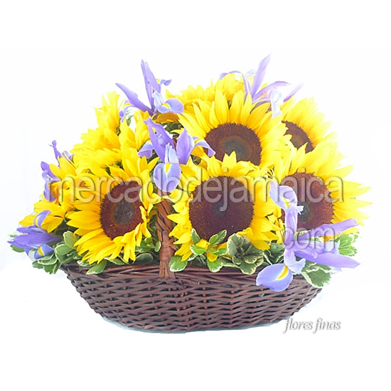 Canasta Girasoles y Flores Iris !