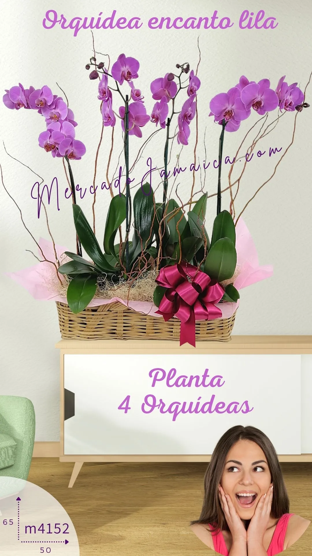 4 Orquídeas phalaenopsis del corazón planta viva DOBLE TALLO