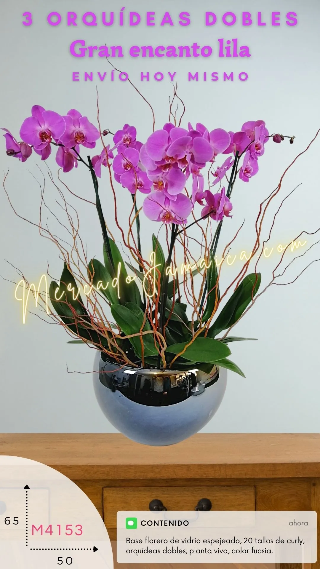 3 Orquídeas gran encanto lila DOBLE TALLO