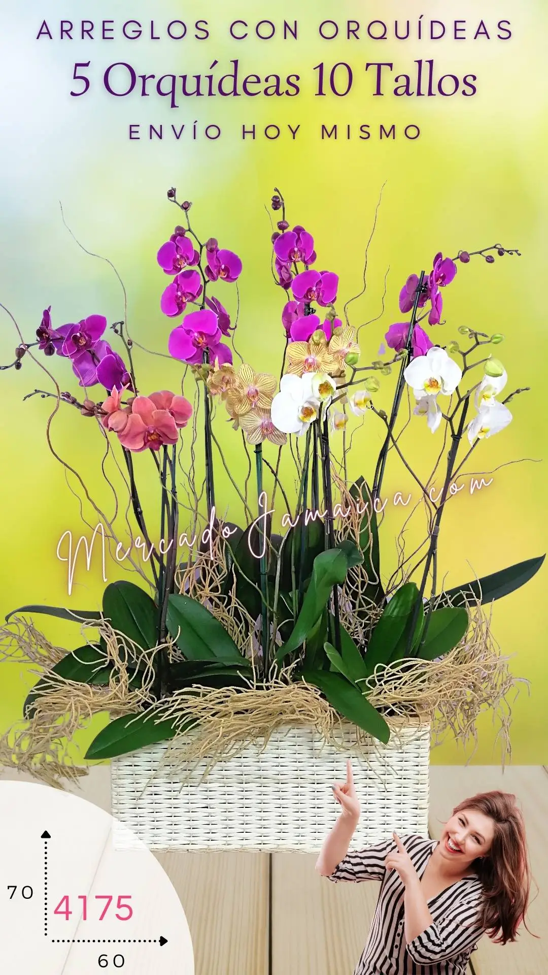 Encanto orquídeas hermosas DOBLE TALLO
