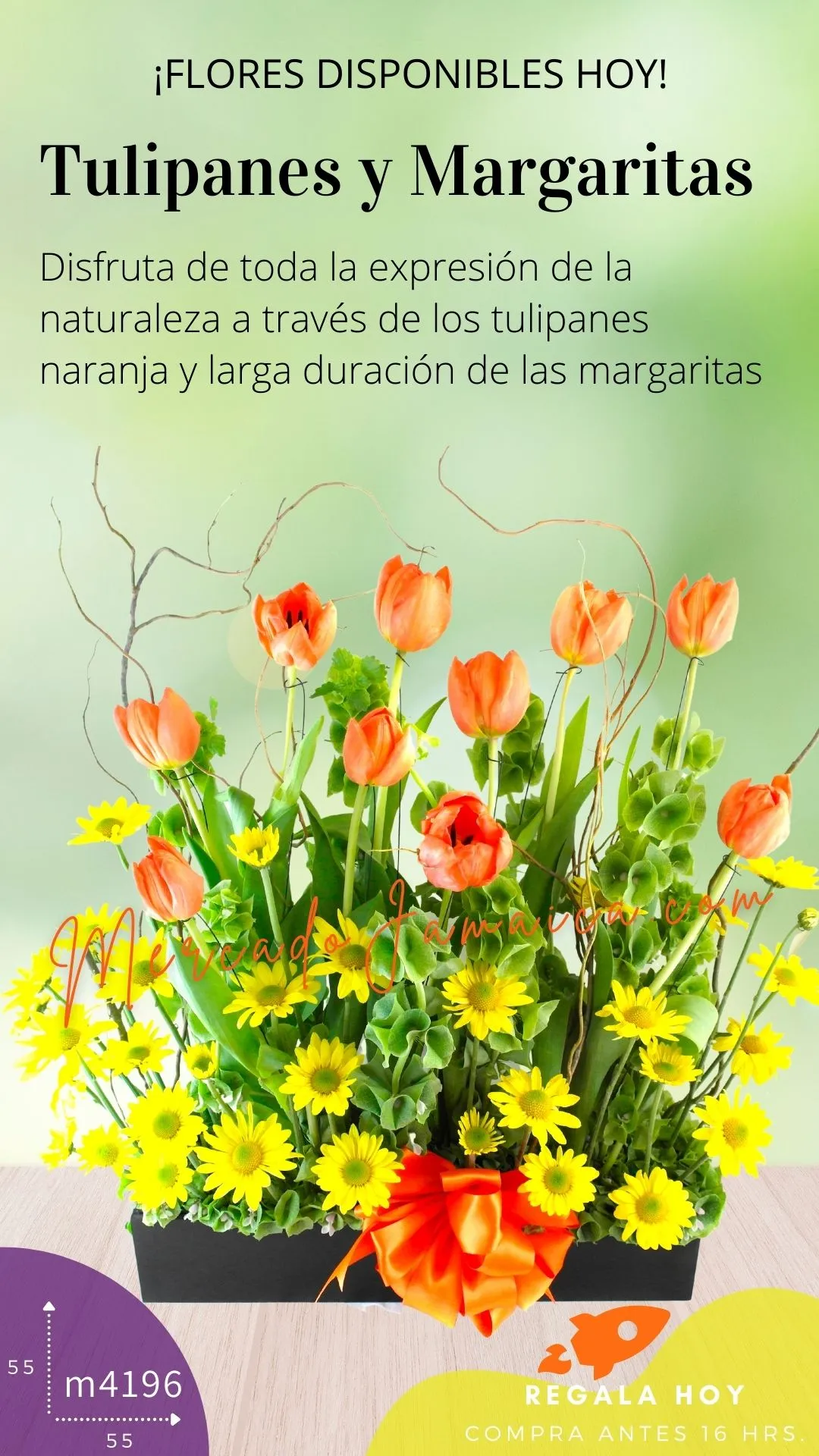 Tulipanes y Margaritas Super Color