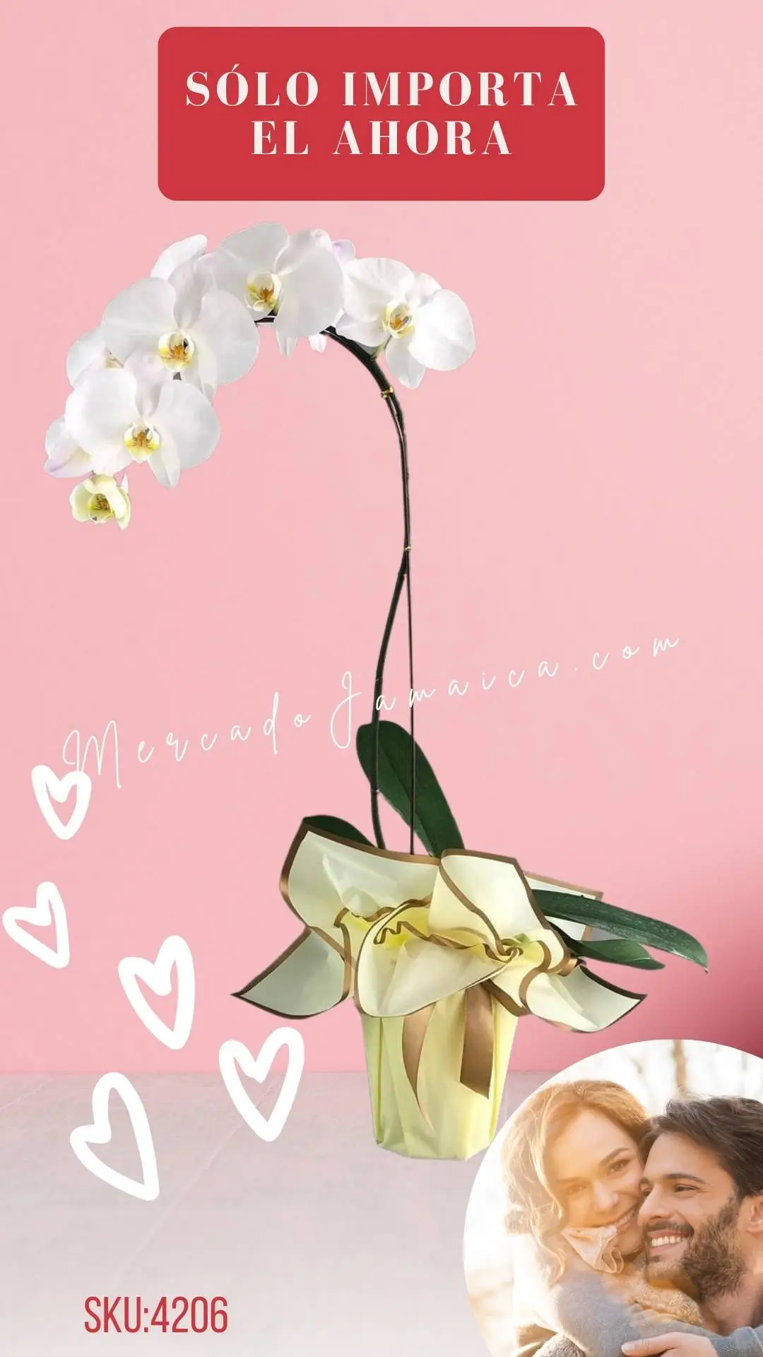 Arreglo orquídea blanca decorada