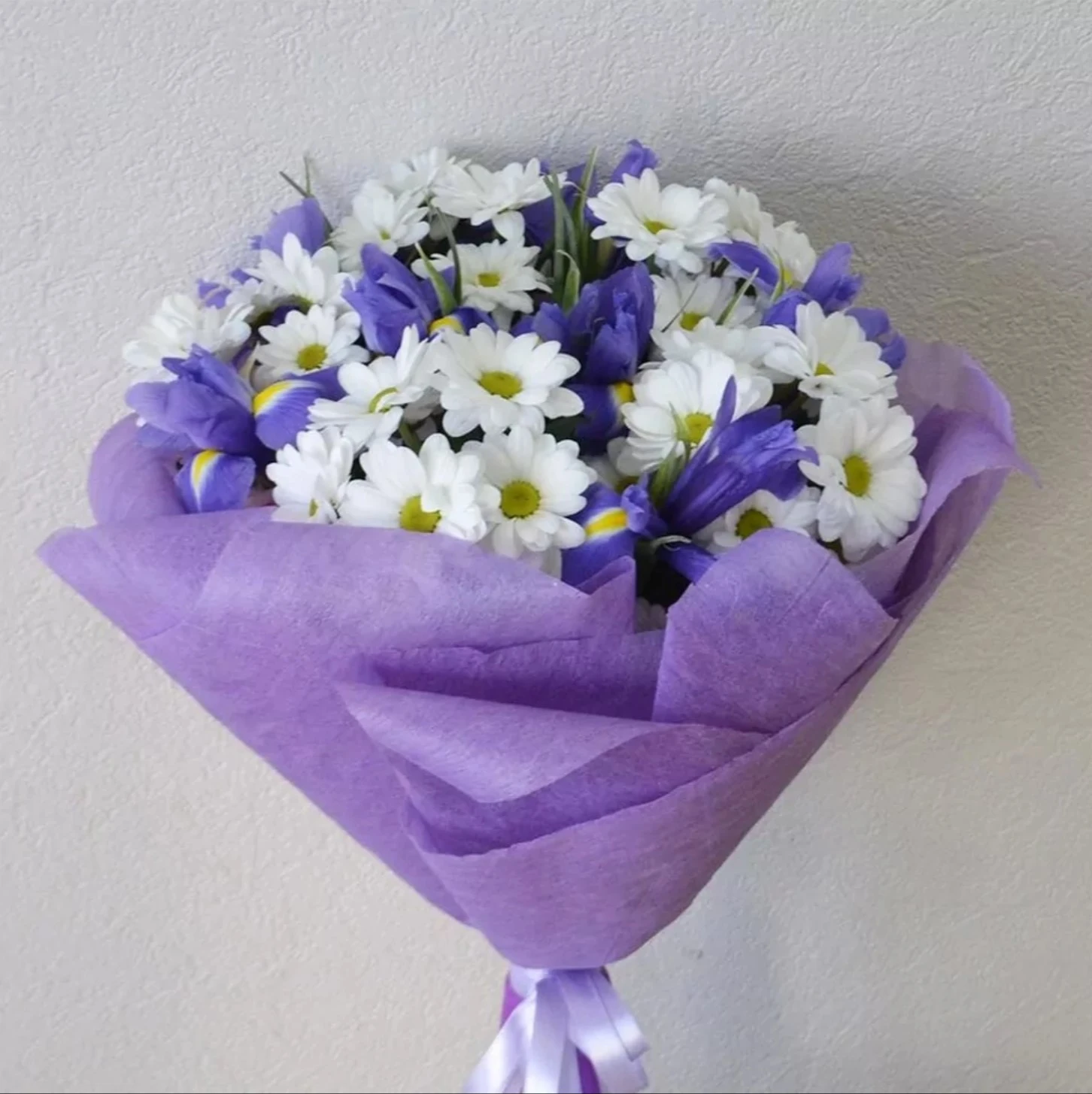 margaritas blancas iris azul