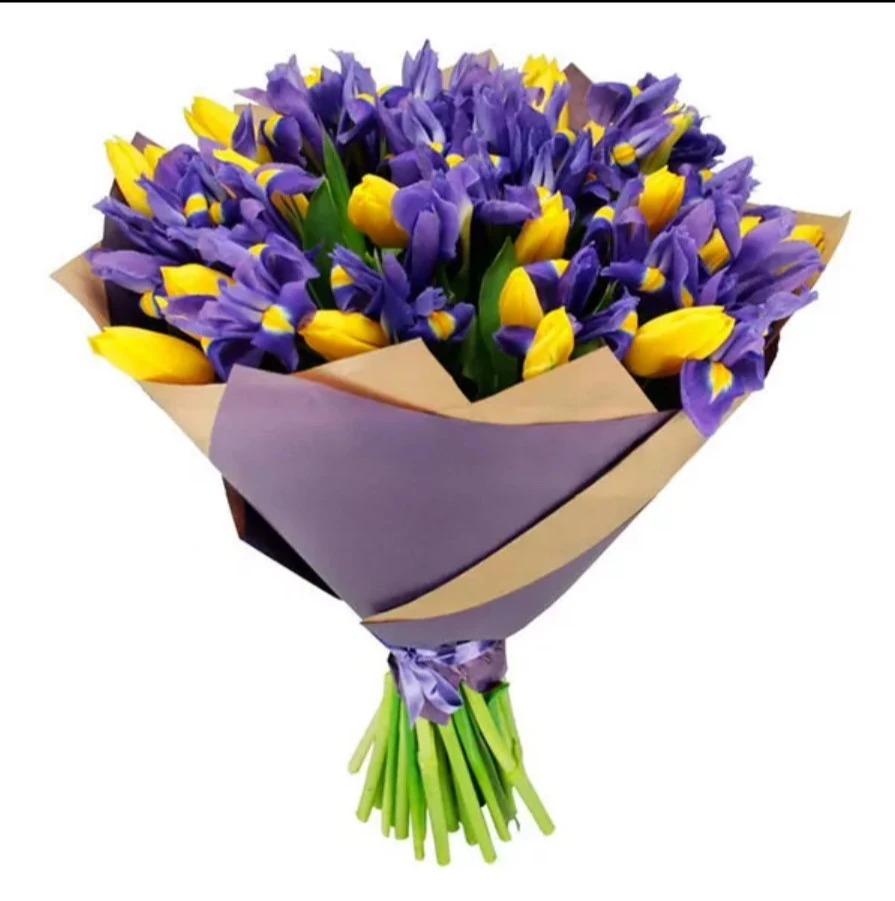 tulipanes iris azules