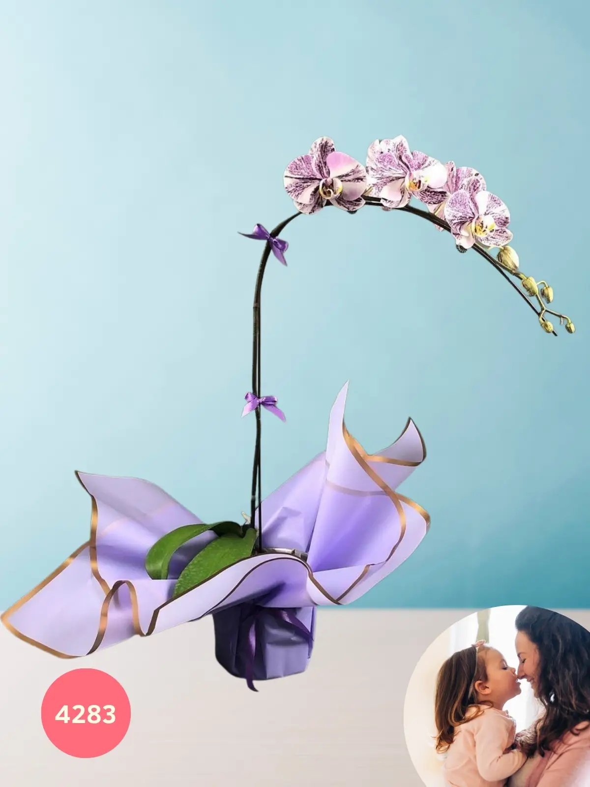 10 Mayo Arreglo Orquídeas Para Mamá