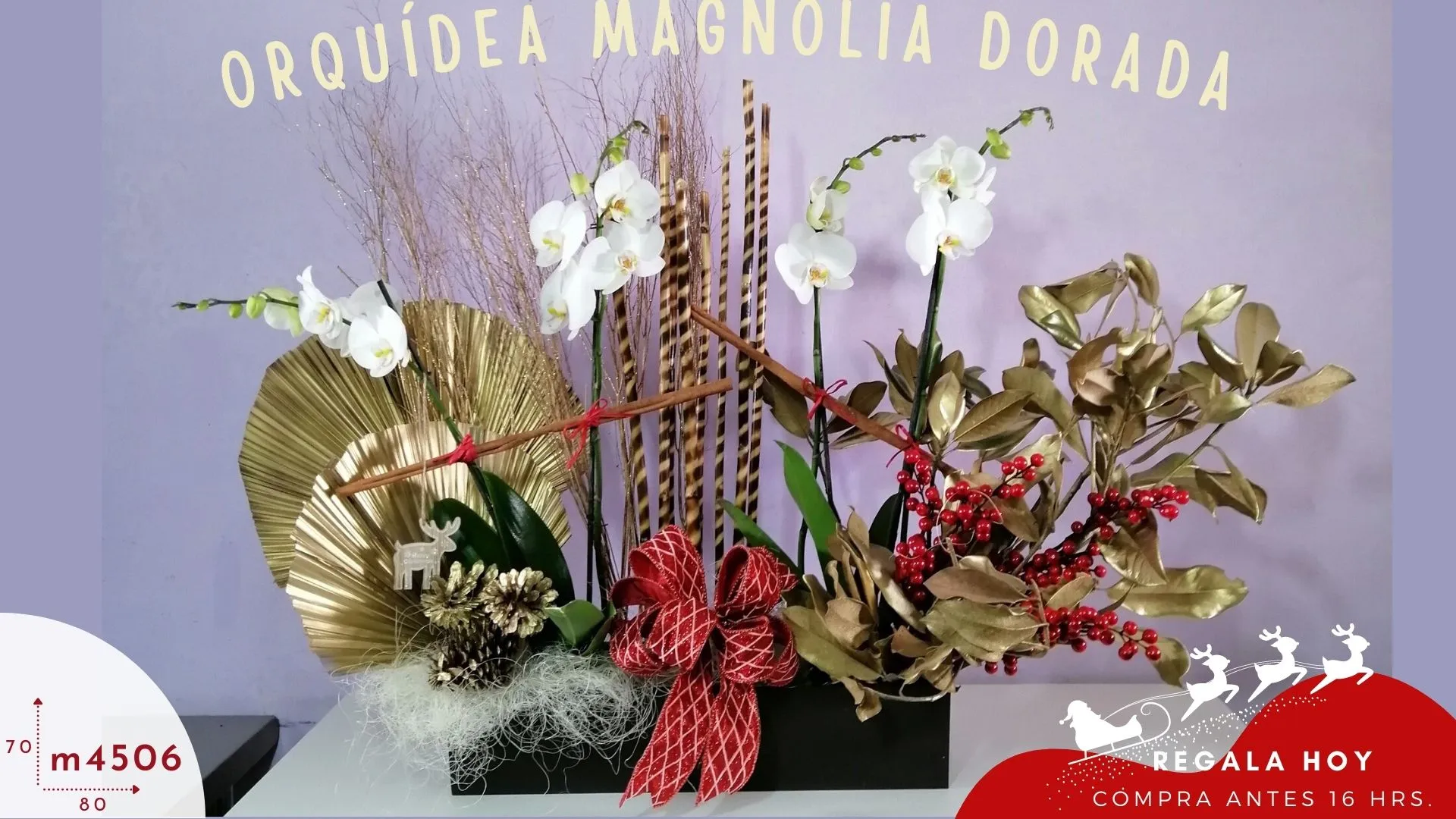 Arreglo Navidad Orquídea Magnolia Dorada