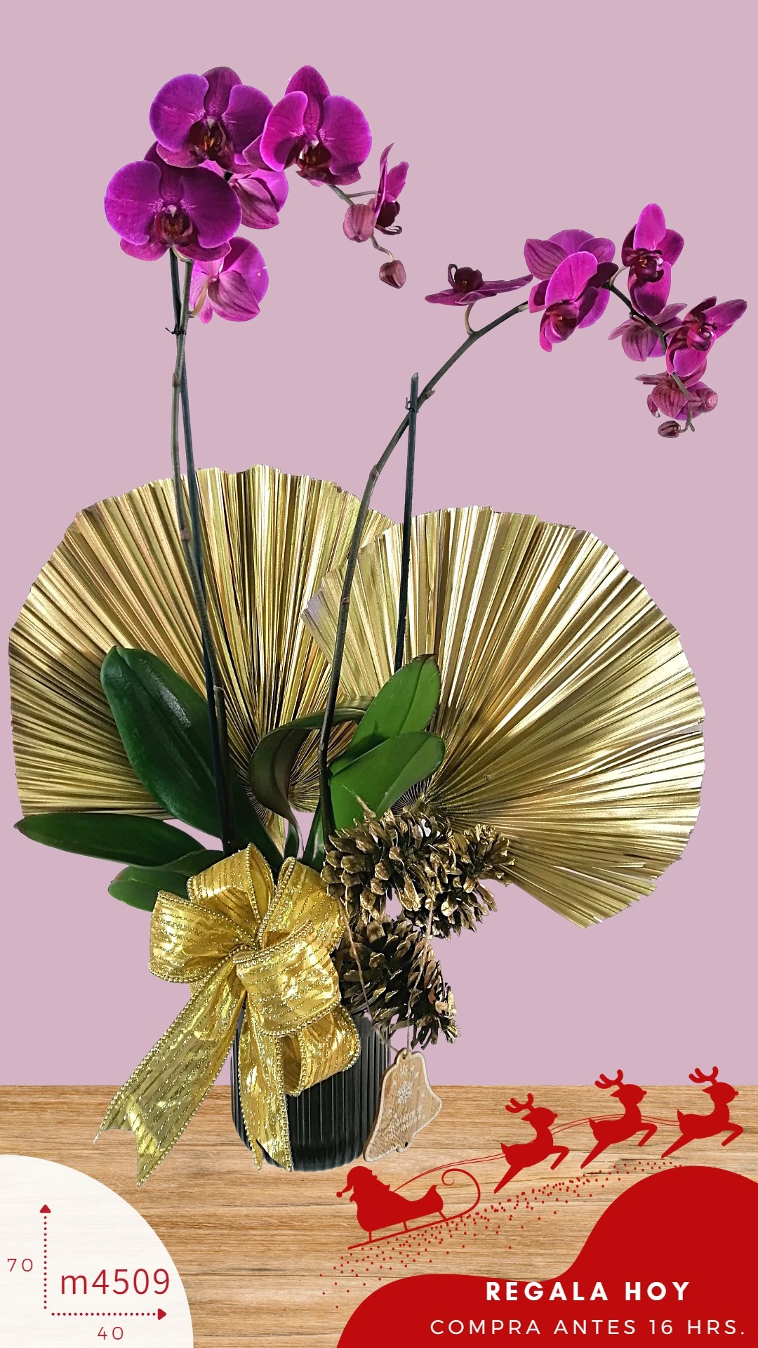 Arreglo navidad en orquídea lila premium