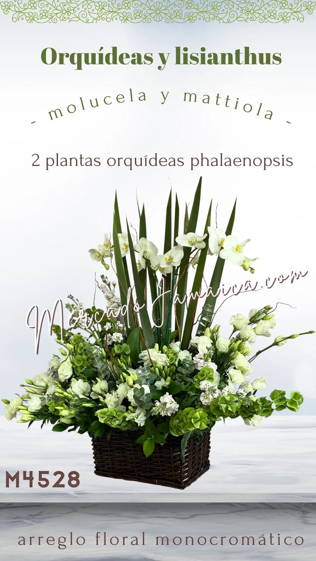 Arreglo con 2 orquídeas blancas planta viva fúnebre