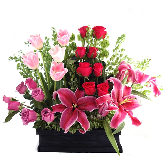 Envia Flores Cofre con Tulipanes Rosa !