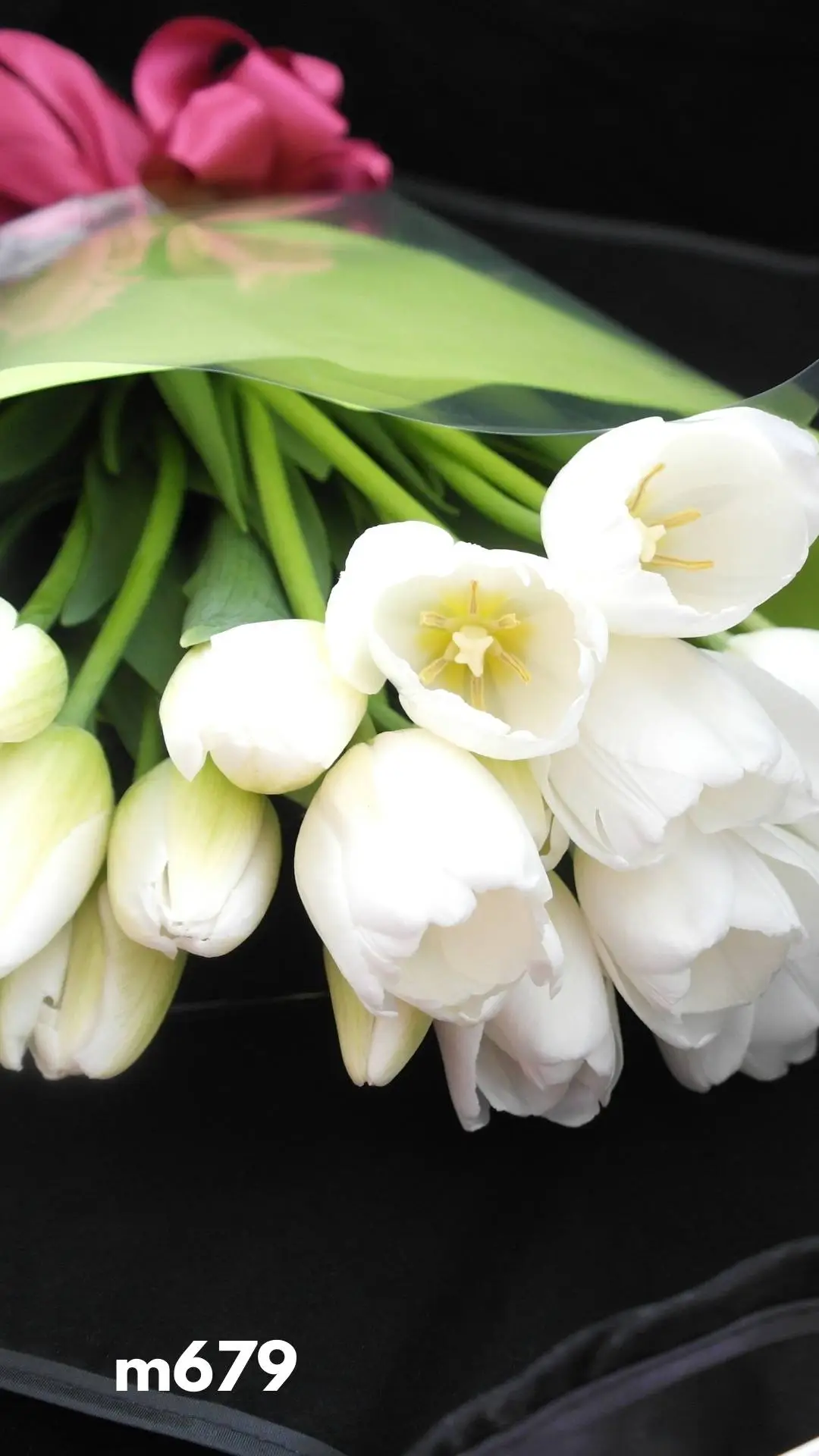Ramo Envia Flores a Domicilio 20 Tulipanes Blancos !