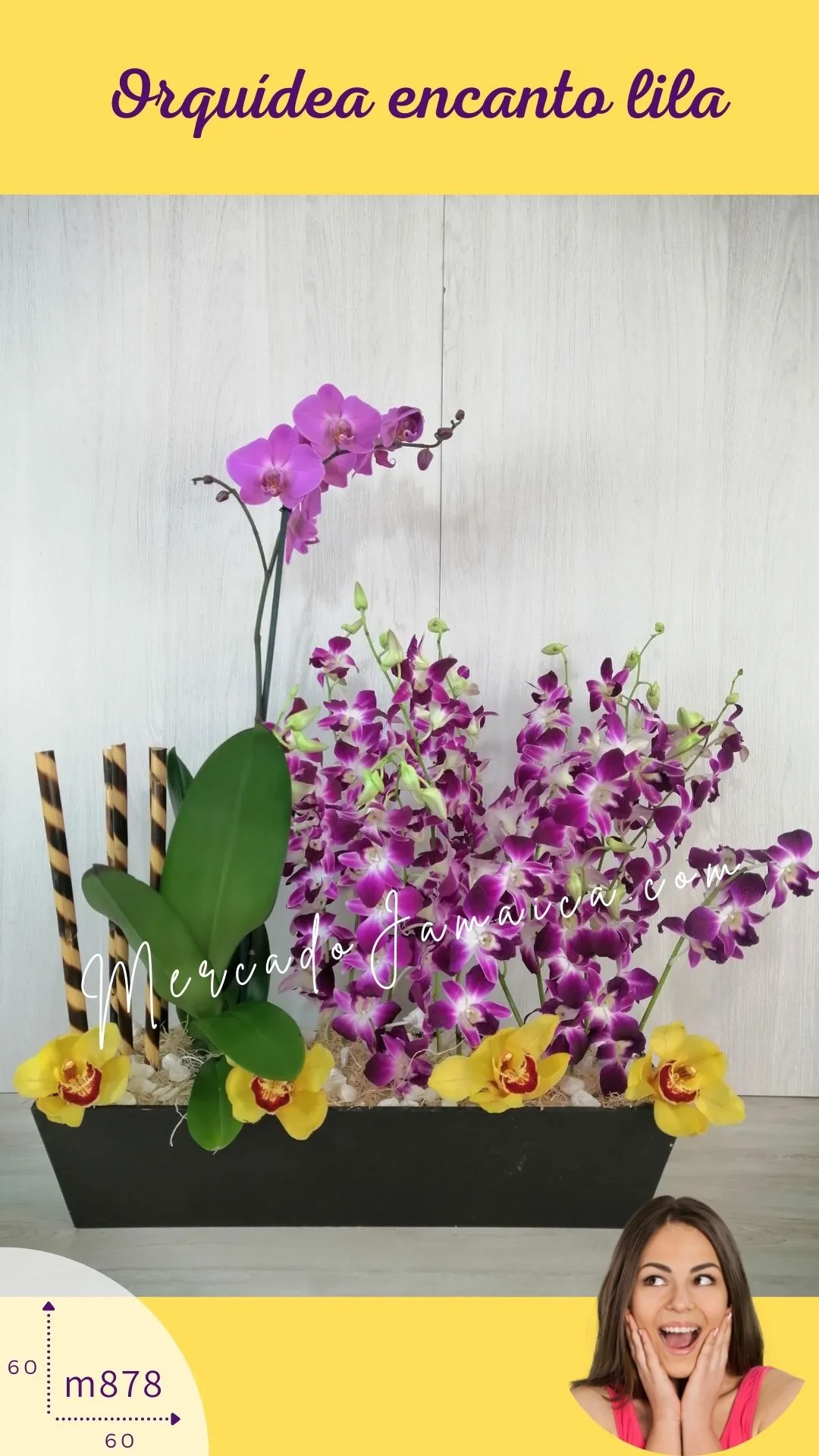 Flores a domicilio orquídea encanto lila !