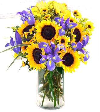 Arreglo Flores Girasoles e Iris Azul !