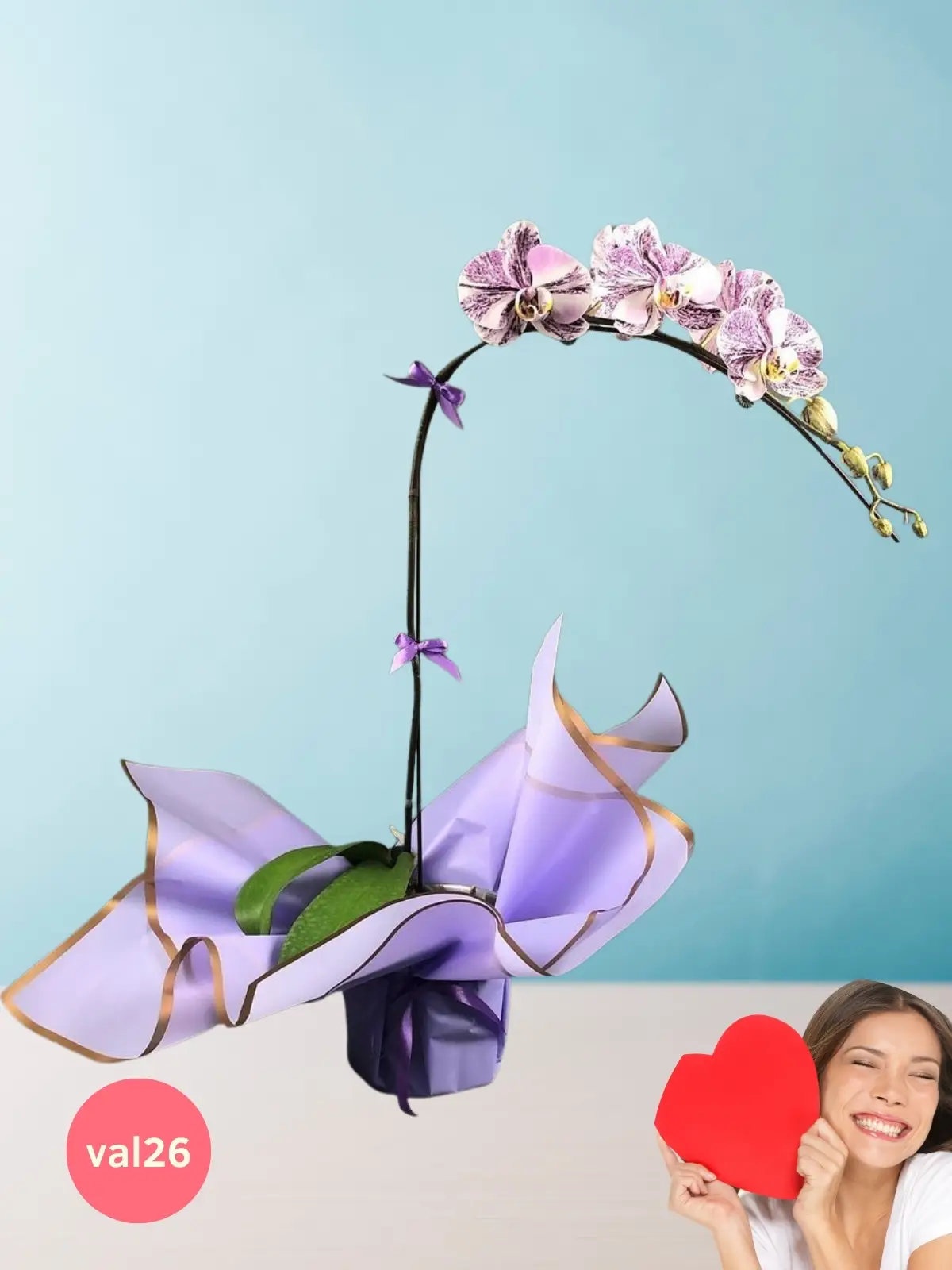 Orquídea Love en Lila