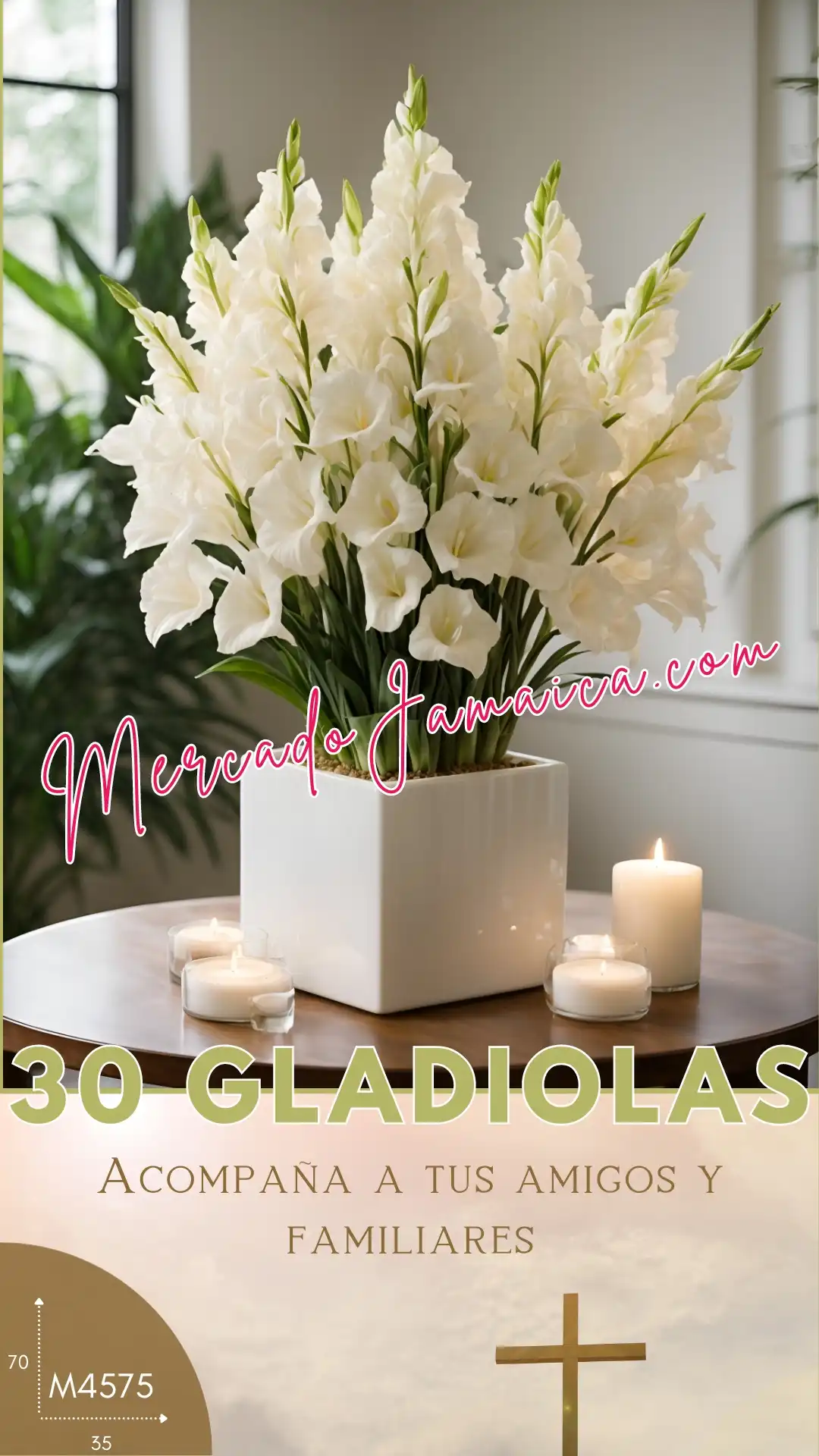 Destello 30 gladiolas blancas