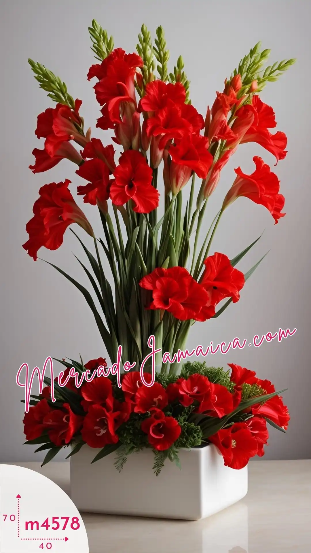 Oasis floral 30 gladiolas rojas