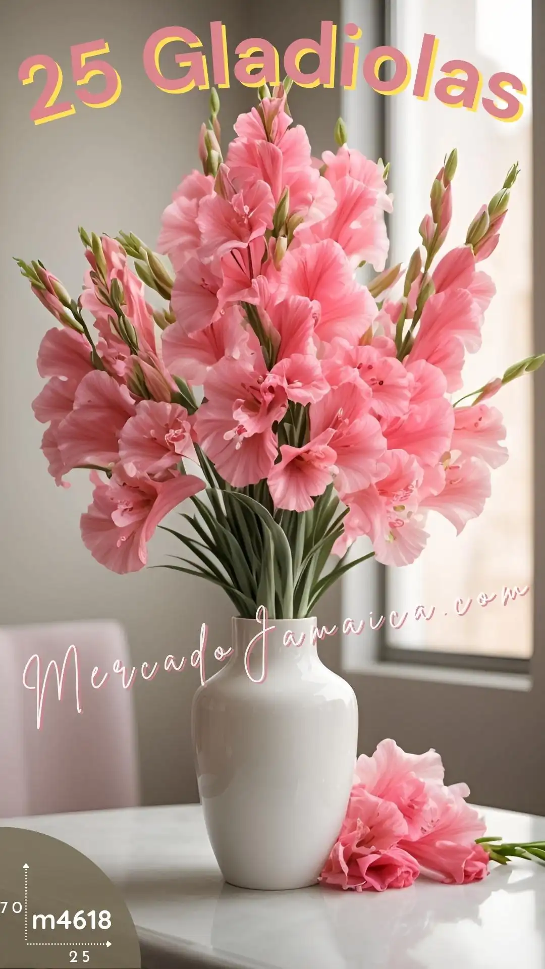 Flores clásicas 25 gladiolas rosa