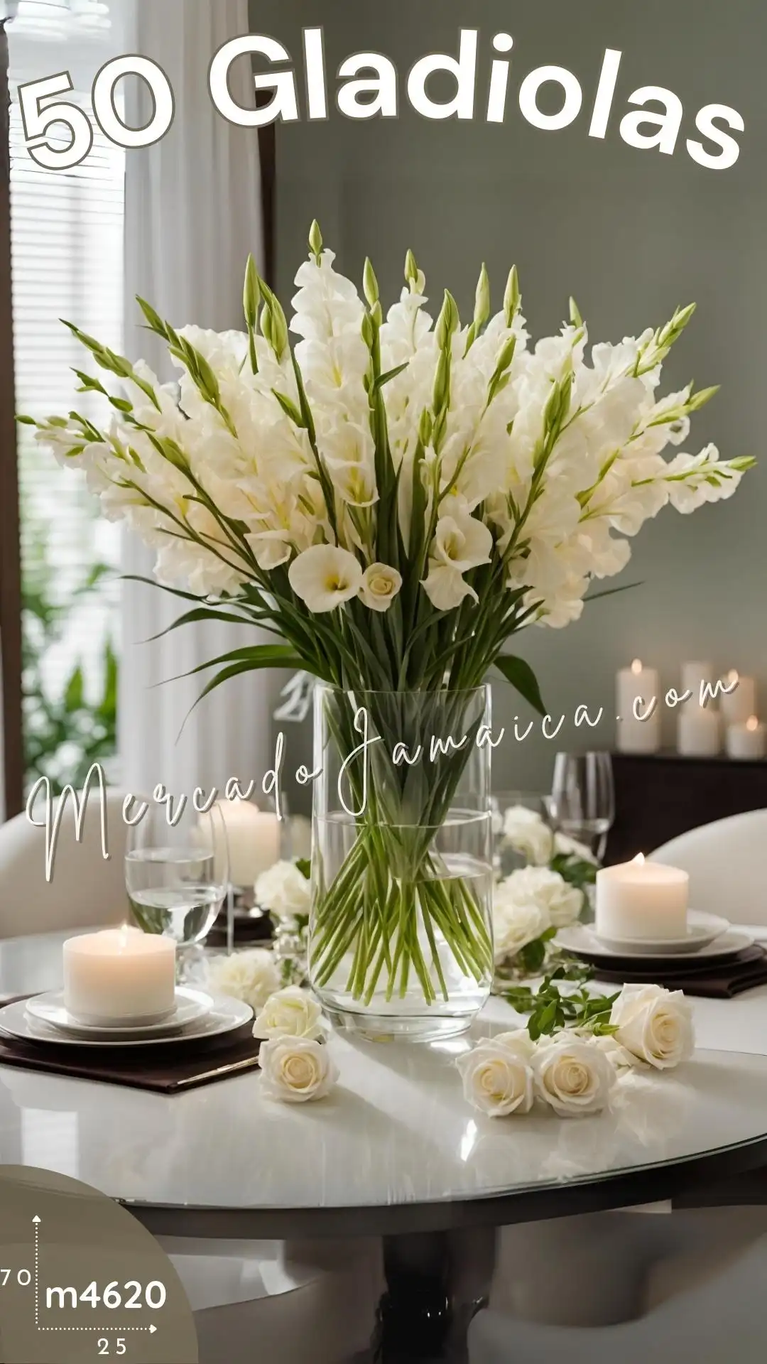 Flores clásicas 50 gladiolas blanco